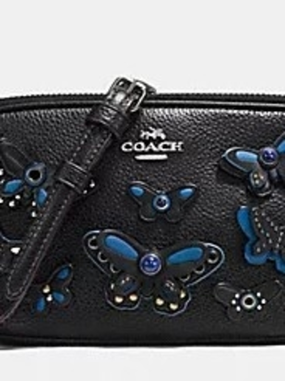 CROSSBODY POUCH IN PEBBLE LEATHER WITH BUTTERFLY APPLIQUE (COACH F59070)
